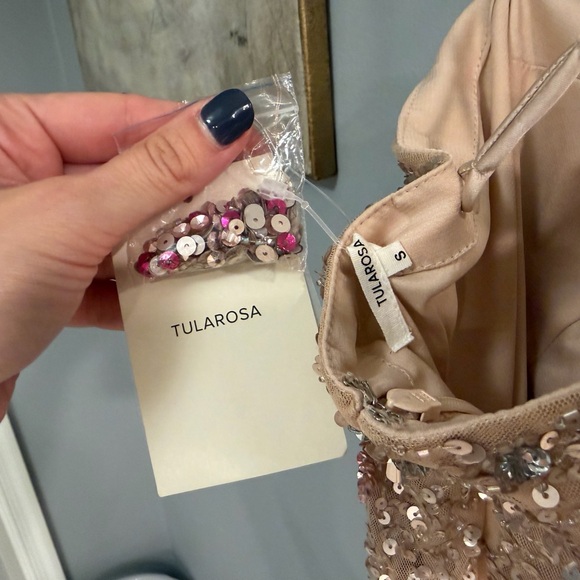 Tularosa Blush Pink Sequin Fringe Mini Dress - Picture 5 of 5